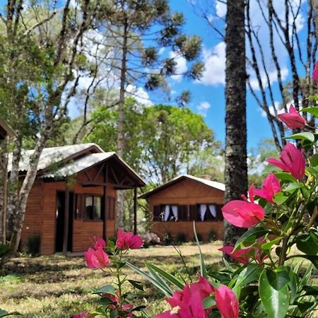 Cabanas Dos Pinheiros São Francisco de Paula Exterior foto