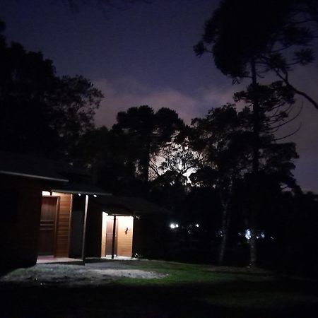 Cabanas Dos Pinheiros São Francisco de Paula Cameră foto
