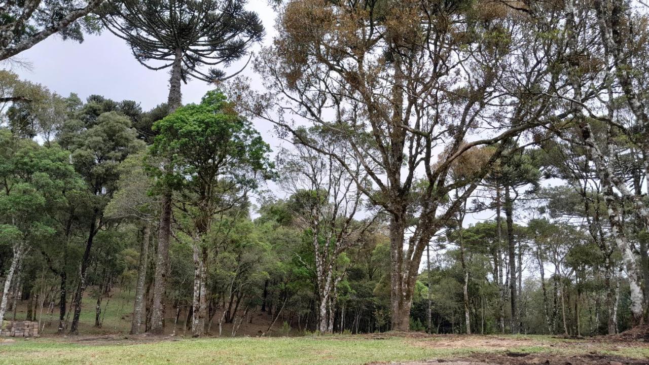 Cabanas Dos Pinheiros São Francisco de Paula Exterior foto