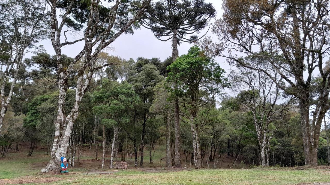 Cabanas Dos Pinheiros São Francisco de Paula Exterior foto