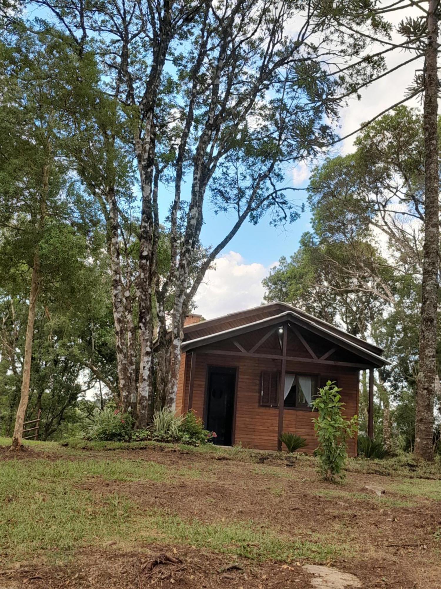 Cabanas Dos Pinheiros São Francisco de Paula Cameră foto