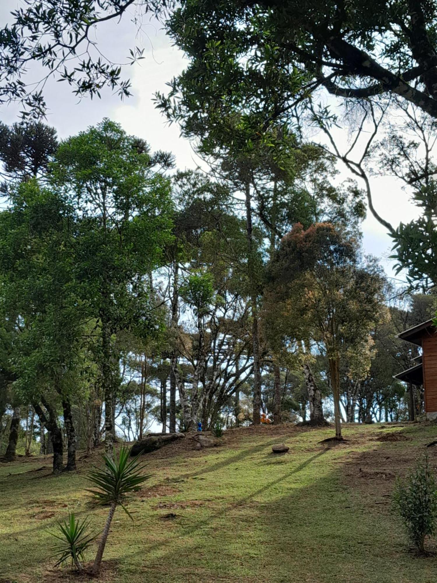 Cabanas Dos Pinheiros São Francisco de Paula Cameră foto
