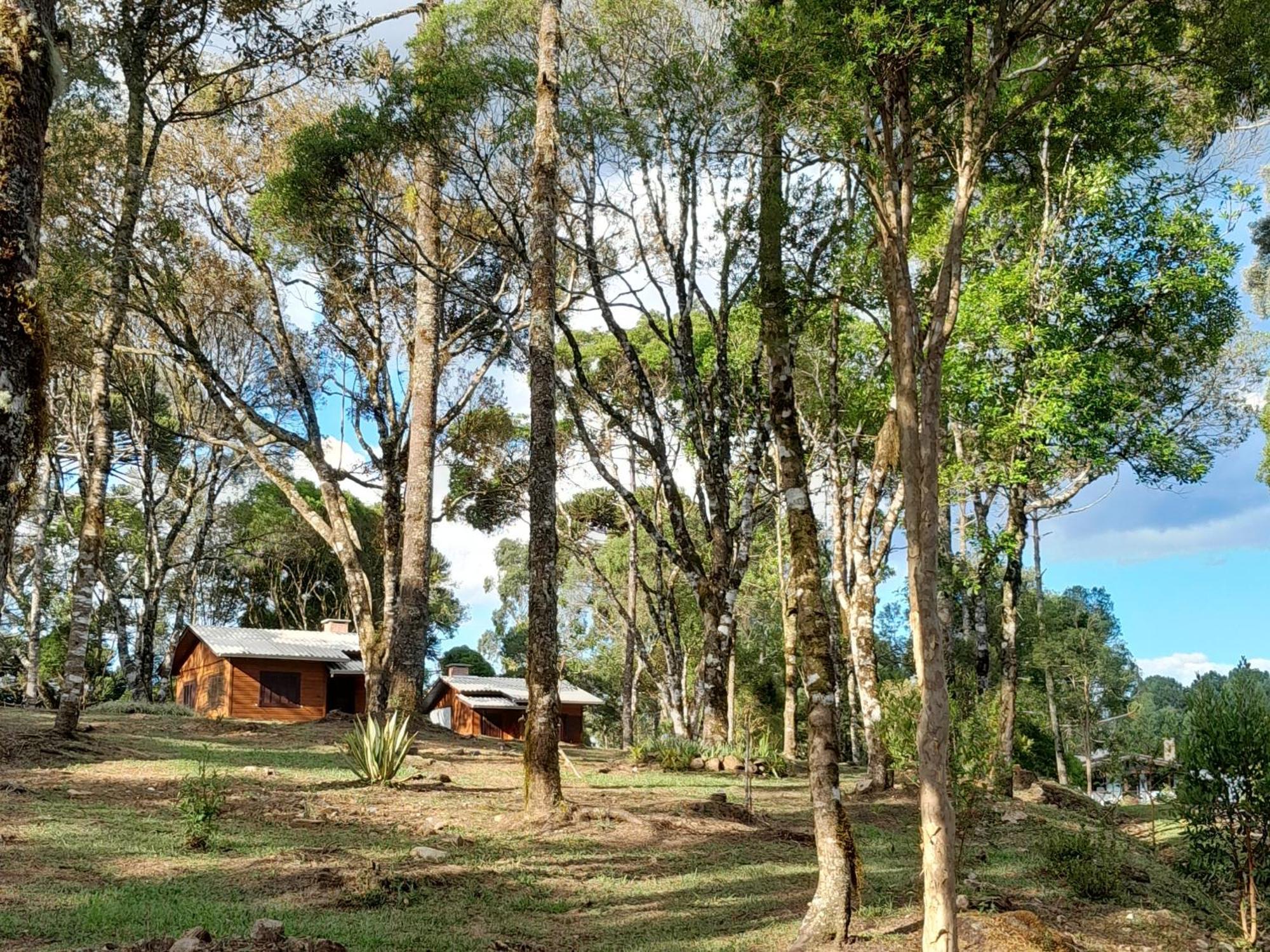 Cabanas Dos Pinheiros São Francisco de Paula Cameră foto