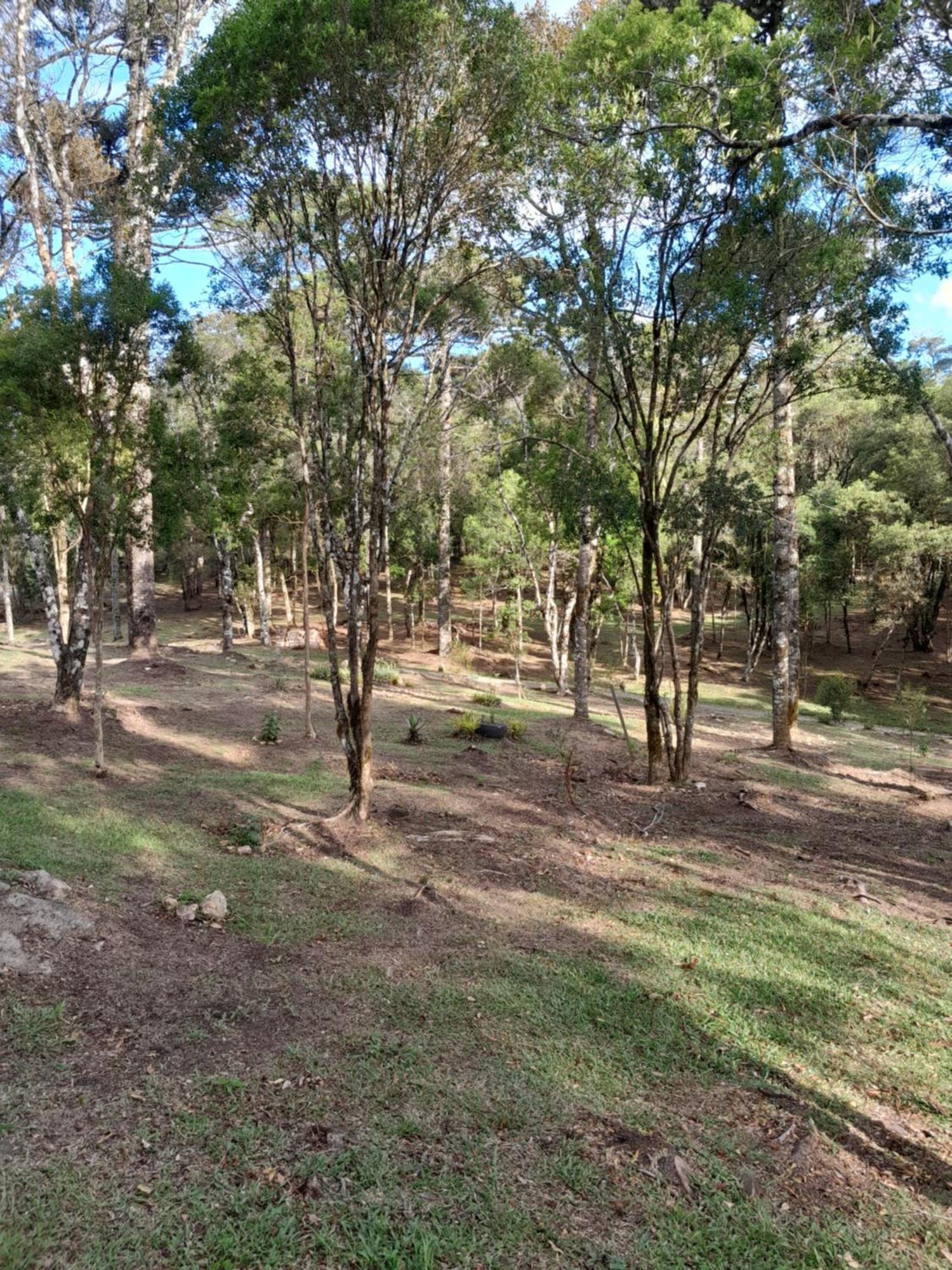 Cabanas Dos Pinheiros São Francisco de Paula Cameră foto