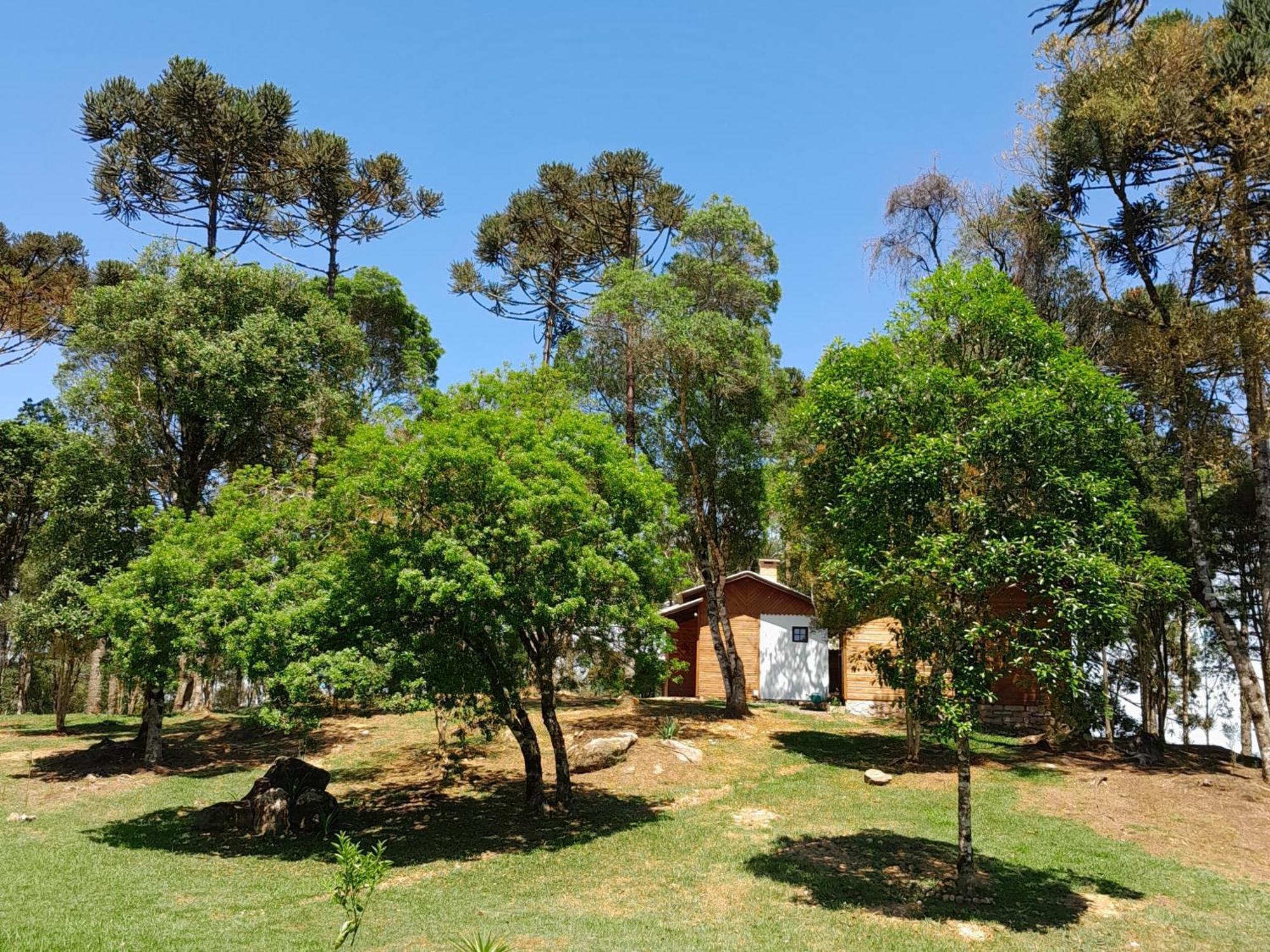 Cabanas Dos Pinheiros São Francisco de Paula Cameră foto
